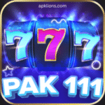 Pak111 Game