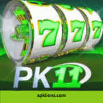 PK11 Game
