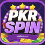 PKR SPIN Game
